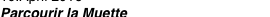 shapeimage_1_link_16